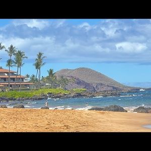 Meet your Posher, Bella